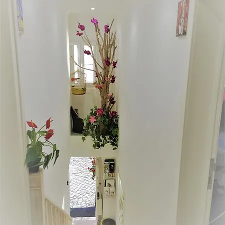 Apartment Castle