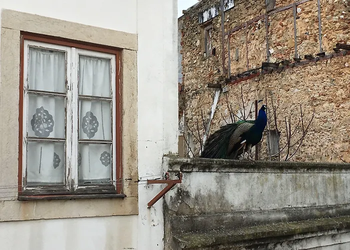 Castle Apartment Lisbon