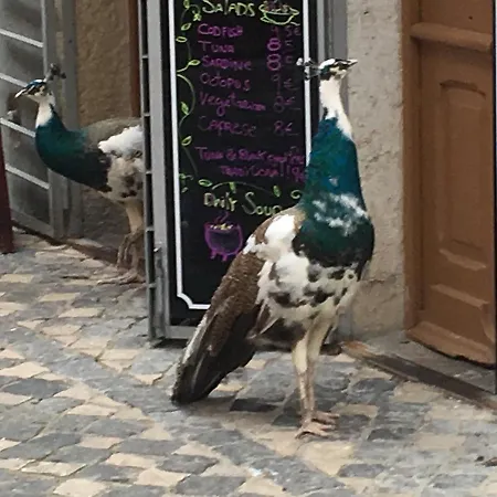 Castle Appartement *