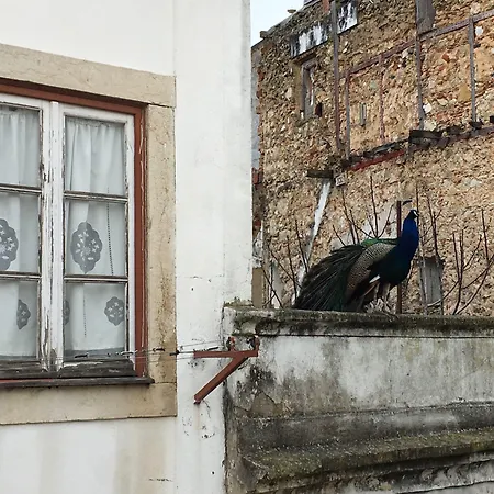 Castle شقة Lisboa